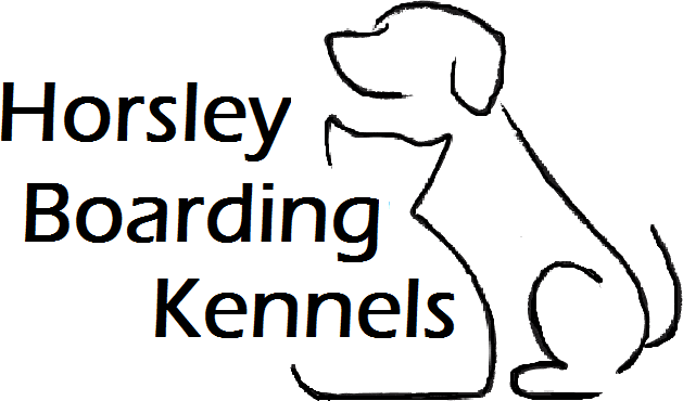 The grange hotsell dog kennels